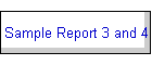 Sample Report 3 and 4