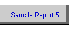 Sample Report 5