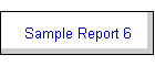 Sample Report 6