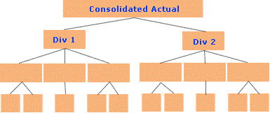 Corporate Tree Database, Actual vs Budget